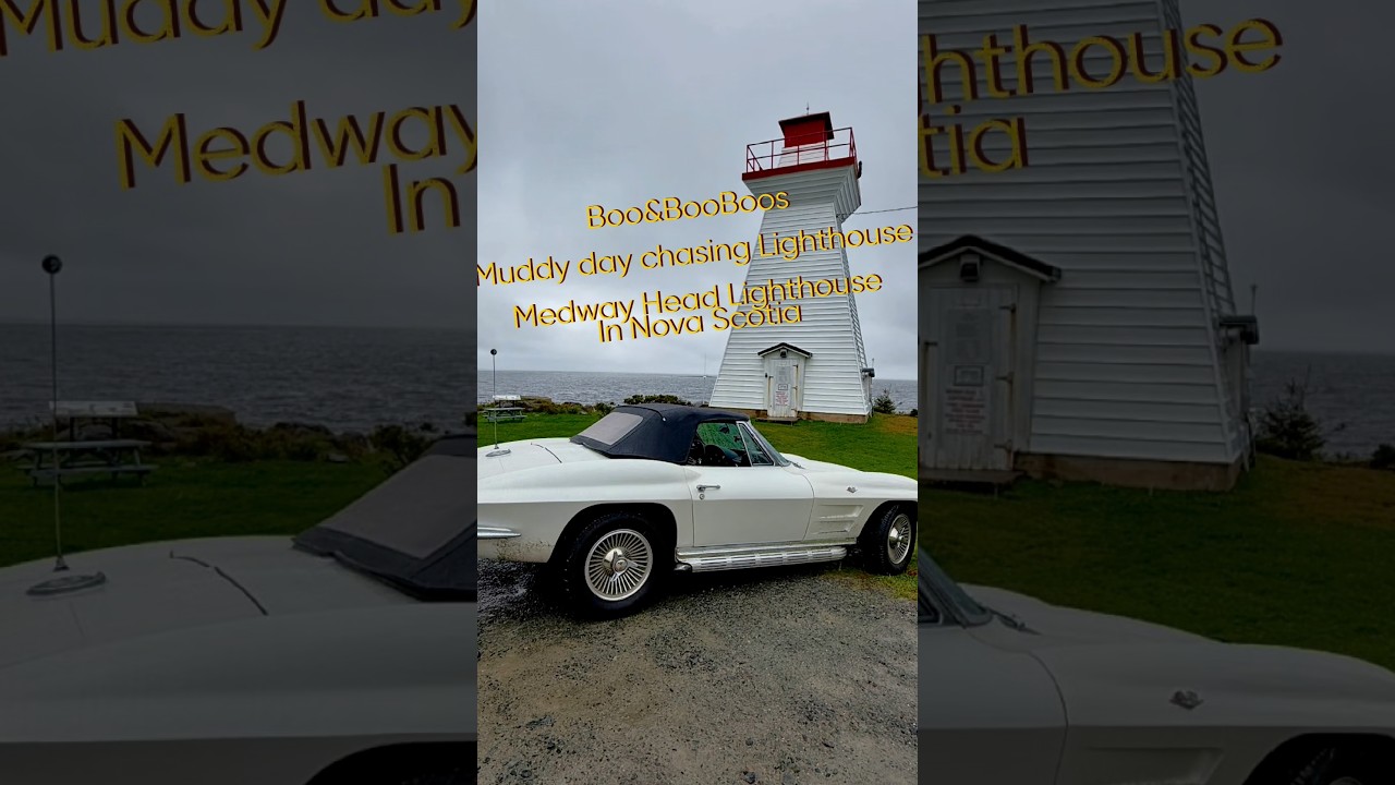 Little white corvette