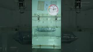 Industrial pouch vacuum water bath test for long-term moisture protection