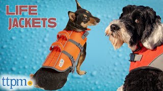 Which Life Jacket For Dogs is ACTUALLY the Best? (We Tested Them All) | TTPM Pet Review