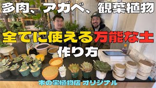 【特別編】アガベや多肉、観葉植物まで使える万能な土の作り方：木の実植物店オリジナルブレンド【ガーデニング】【DIY】【ドライガーデン】