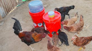 Comedero y bebedero fácil de hacer - chicken feeder and waterer