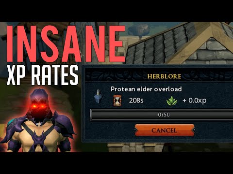 The new Protean Items are INSANE Experience