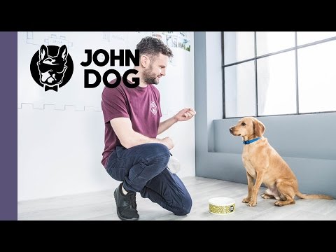 Jak oduczyć psa warczenia przy misce - CASE STUDY - John Dog