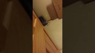 Biggest Jumpscare Ever 98% Will Get Scared