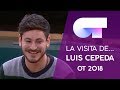 VISITA De CEPEDA | OT 2018