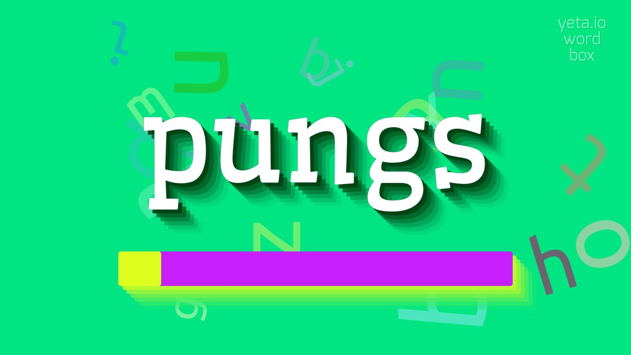 How to say "pungs"! (High Quality Voices)