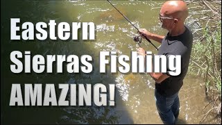 Fishing Roadtrip- Eastern Sierras (EPIC)