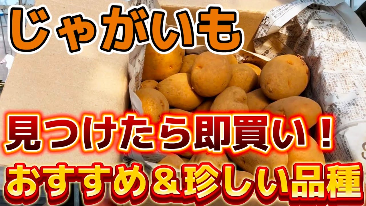Potatoes] Buy them as soon as you find them! Introducing