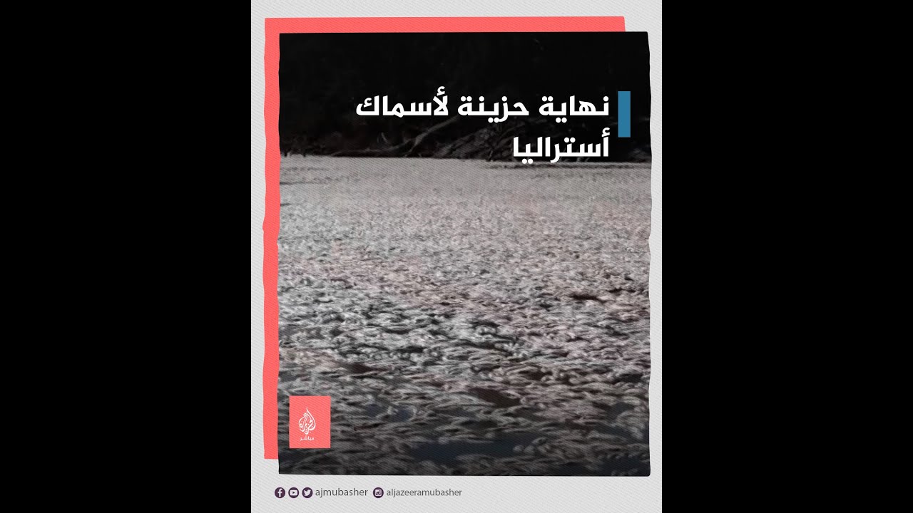 مئات الآلاف من الأسماك تطفو على سطح نهر بأستراليا!