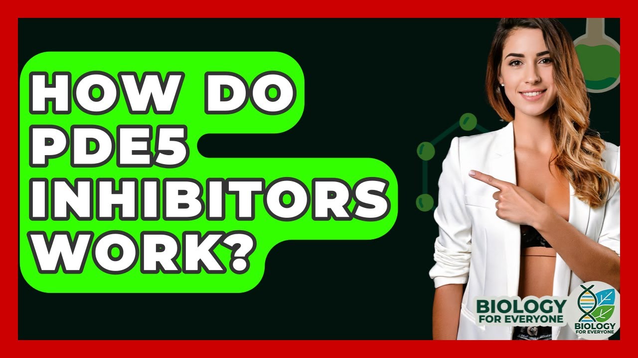 Как работают ингибиторы ФДЭ5? — Биология для всех