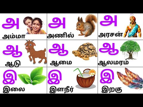 உயிரெழுத்துக்கள்/Uyireluthukkal/அஆஇஈ/Tamil Alphabets for kids @PEEKABOO-ff8wq #uyireluthukkal