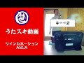 リインカネーション/ASCA【うたスキ動画】