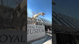#royaltyrrellmuseum was the best part of this trip 🥰 #dinosaur #drumheller #museum