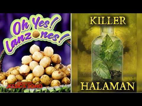 Killer Halaman; Oh Yes! Lanzones! | Kapuso Mo, Jessica Soho