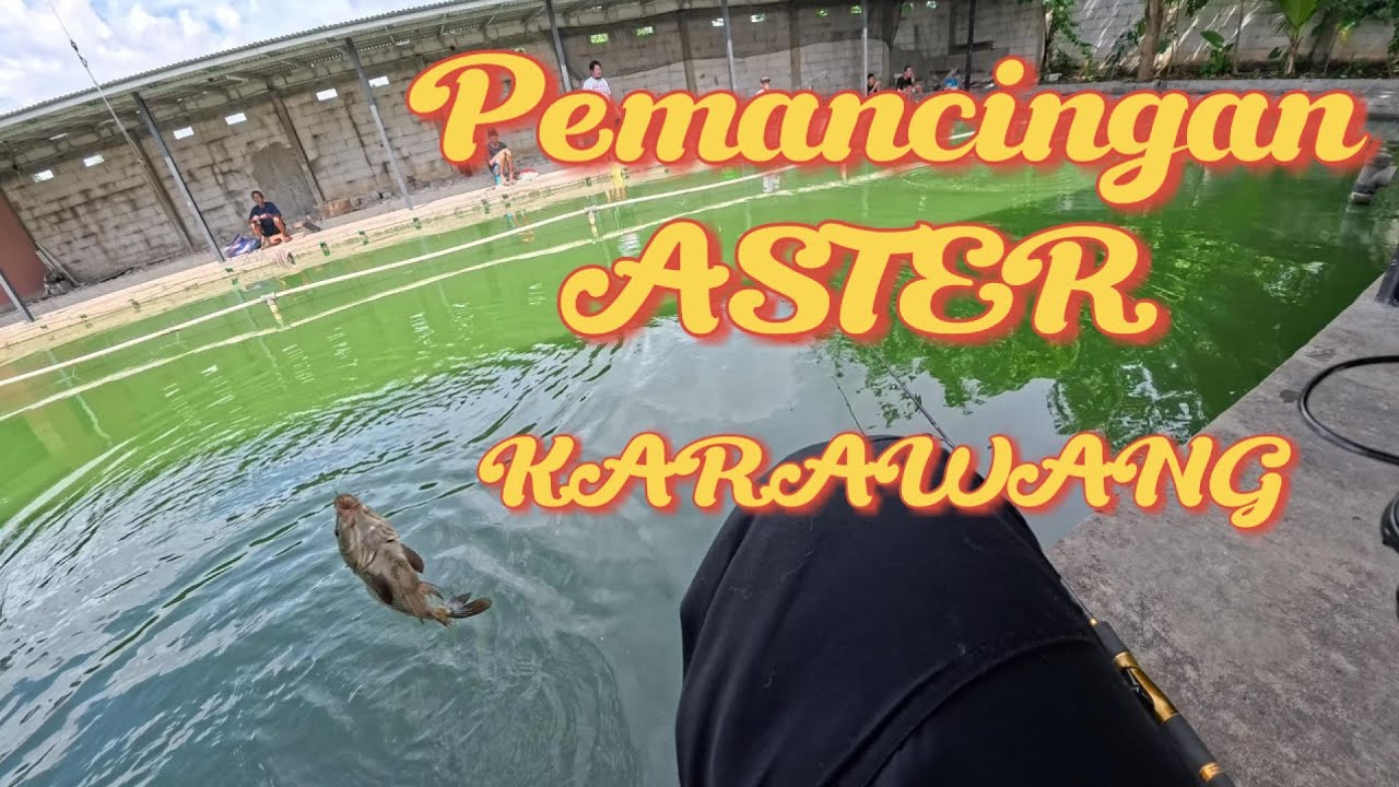 Pemancingan ASTER KARAWANG