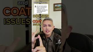 DOG SKIN AND COAT ISSUE REMEDIES