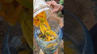 Turn Kitchen Waste into Plant Power | Easy Compost Hack#DIYCompost #ZeroWasteLiving #GardenHacks