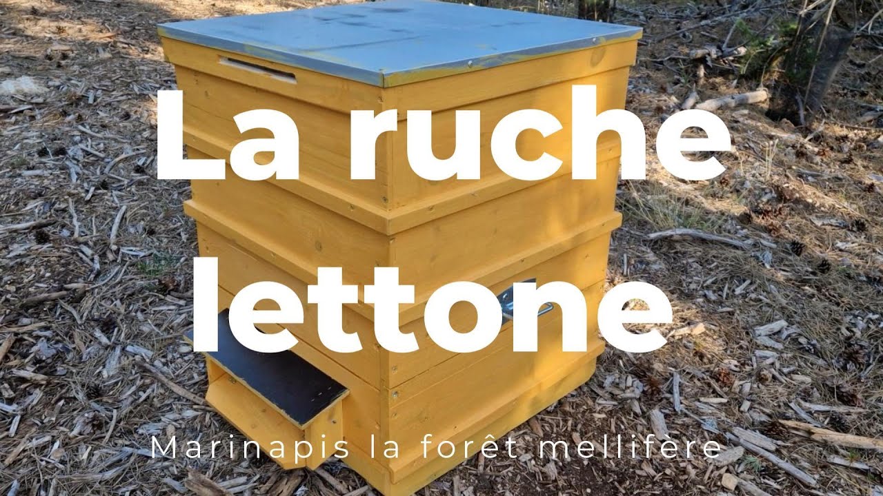 La ruche Lettone, elle étonne !