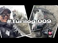 【チニング】#Turilog 009『アルファスAIRTWでアシ撃ちキビレ！』