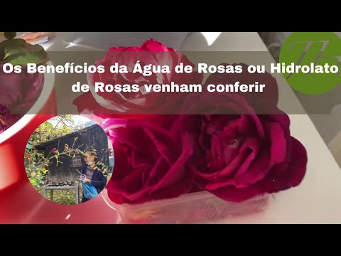 Vídeo: Água De Rosas Para Os Olhos: Benefícios E Como Usá-la