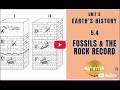 5.4 — Fossils and the Rock Record HS-ESS2-7 | HS-ESS1-6