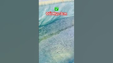✅ Giống Cá Đối Mục size 3cm ngọt lợ mặn #traicagiong Móng Cái (Quảng Ninh) 0336898189 #giathuysan