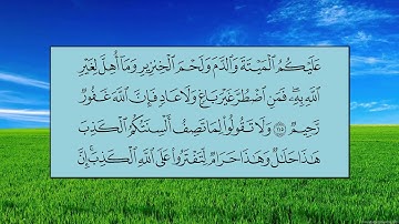 سورة النحل (الآية 111 ~ الآية 128) -  ياسر بن راشد الدوسري