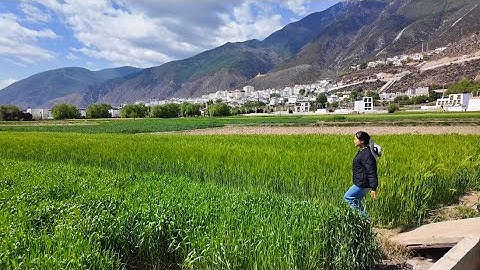 MỘT THỊ TRẤN NHỎ TRÊN VÙNG ĐẤT CAO NGUYÊN TỨ XUYÊN VÔ CÙNG XINH ĐẸP | Cói Lalin