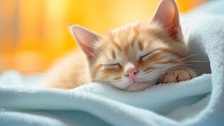 EXTREMELY Soothing Cat Therapy Music - Relax Your Cat! Cat Music by Purrful Sounds 265 views 10 days ago 3 hours, 32 minutes