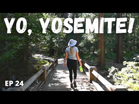OUR FIRST THOUGHTS OF YOSEMITE (entering through the west entrance + walking through)