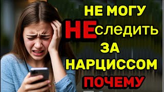 НЕ МОГУ НЕ СЛЕДИТЬ ЗА НАРЦИССОМ. ПОЧЕМУ❓#нарцисс #психология #отношения #черныйпион