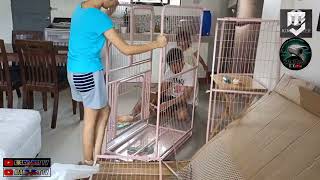 Unboxing & Assemble Of Cat Cage From Shopee | Time Lapse Video |  #Lotto #Metro #Viral