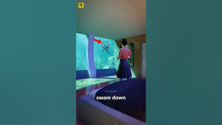 Underwater Proposal Turns Tragic 😱 #shorts