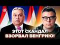 🤯БЕРЕЗОВЕЦ: Орбан В ИСТЕРИКЕ! Не может поверить, что ЭТО ВЫПЛЫЛО. Слушайте, ЧТО СЛИЛИ