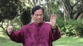 Mantak Chia Tai Chi Chi Kung Practice