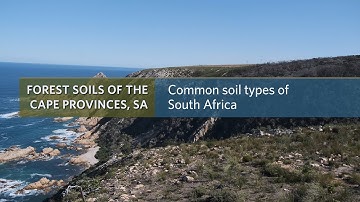 Common soil types of South Africa