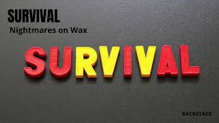 Nightmares On Wax - Survival
