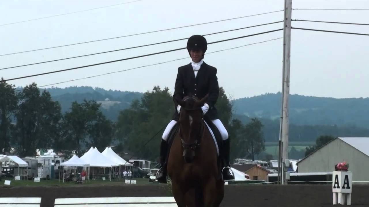Mary Bancroft & Ringwood Amistad Millbrook Training Level Horse Trials August 2012