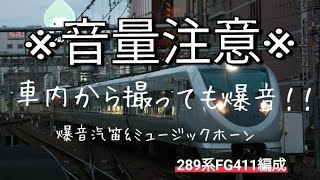 【警笛標識 恐ろしい爆音汽笛！！】289系2000番台FG411編成汽笛&ミュージックボーン@石生〜黒井