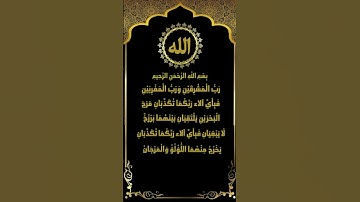 راحة نفسية في تلاوة سورة الرحمن (17-28) للشيخ ياسر سلامة