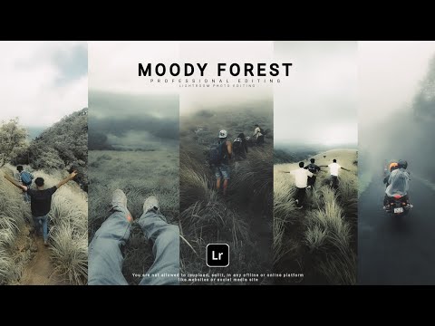 Mansoon Travel presets