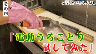 電動ウロコ取り試してみた！大きな魚には向くけど…