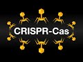 CRISPR-Cas: Иммунная Система бактерий и метод изменения генома (Анимация)