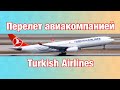 TURKISH AIRLINES: обзор а/к Турецкие авиалинии. Перелёт через Стамбул в Торонто, Канада