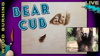 Pyrography: Wood Burning a Bear Cub // How to Burn Long Bear Fur
