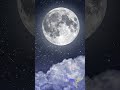 星寂 (seijaku-boshi) • Moonlit Star Silence • Cosmic Night Serenity