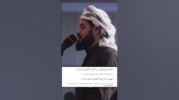 شيخ رعد الكردي حالات واتس اب | سورة (القمر: ٧)