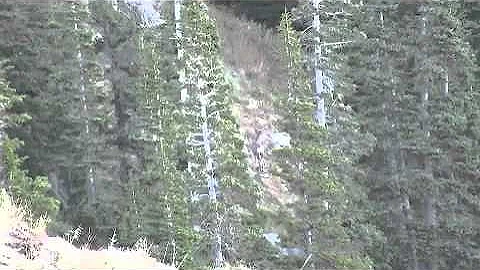 2012 Utah General Season Archery Deer Hunt Part 2