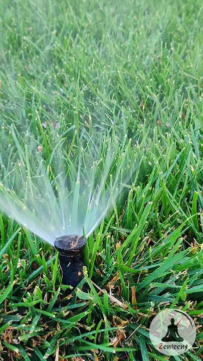 Relaxing Lawn Sprinkler Sounds 💦 Soothing Water & Piano Music #nature #relaxing #relaxingsounds
