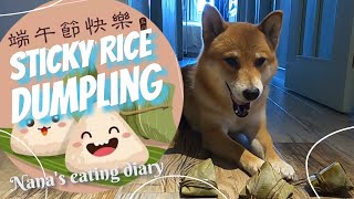 Nana Eating Diary - Sticky Rice Dumpling狗狗鮮食-粽子